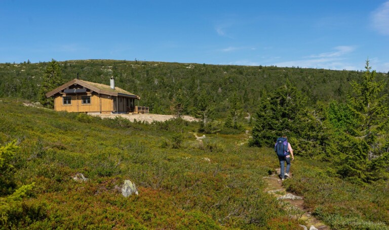 Rev den gamle og bygde en helt ny hytte på bare 94 dager