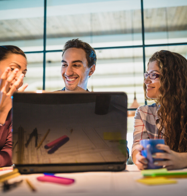 Storsatsing på fagskoler